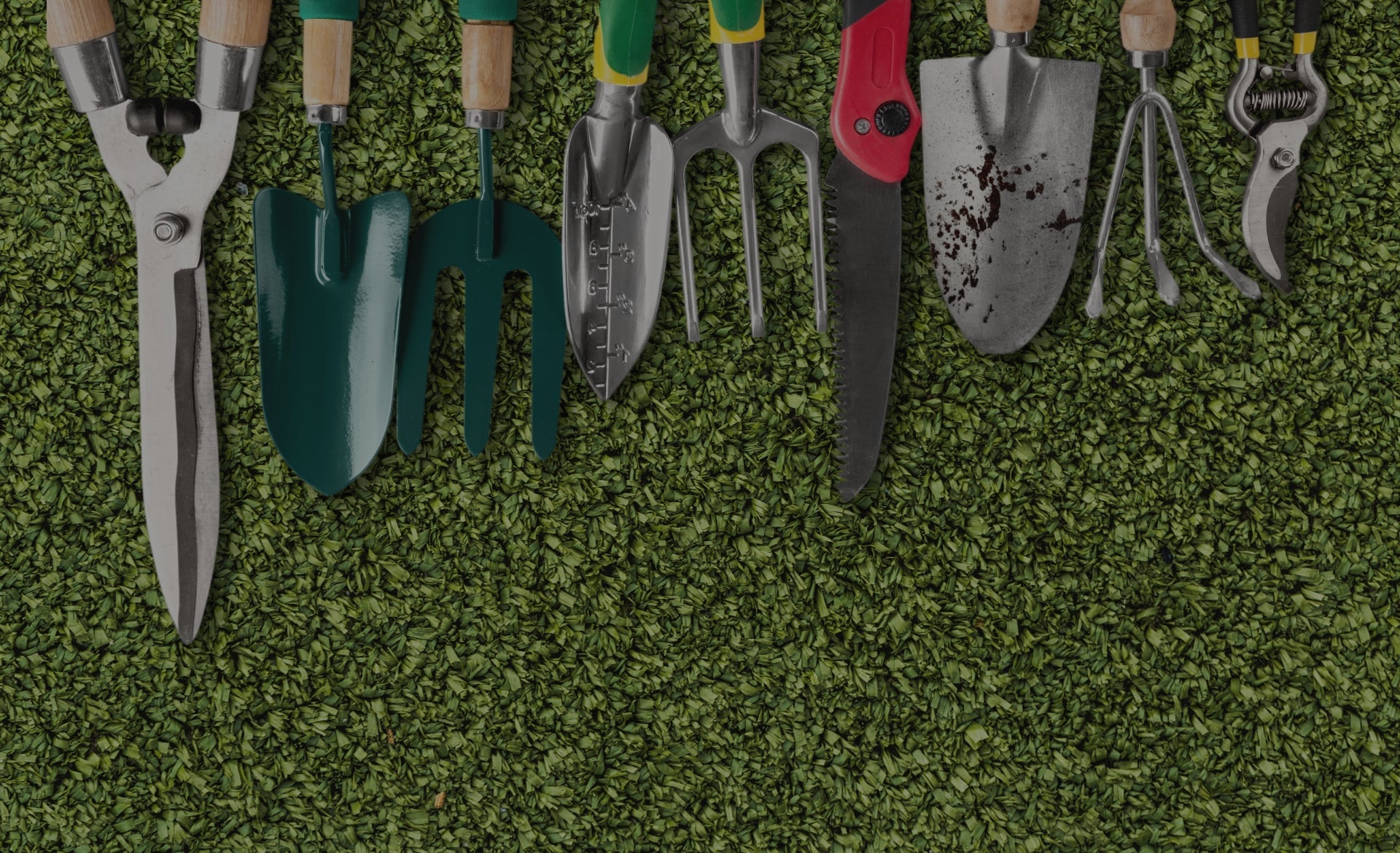 6 herramientas básicas para cuidar tu jardín - TOOL Ferreterías